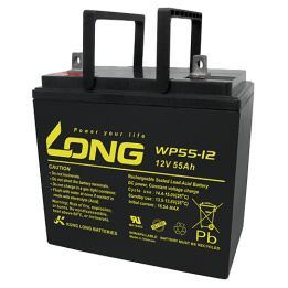 Long WP55-12 55Ah 12V wheelchair battery | bateriaprofesional.es