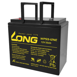 Long WP55-12NE 55Ah 12V batería para silla de ruedas | bateriaprofesional.es