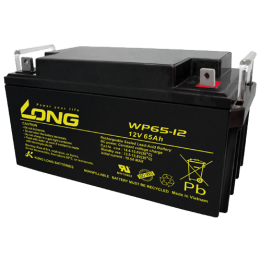 Long WP65-12 65Ah 12V batería para silla de ruedas | bateriaprofesional.es