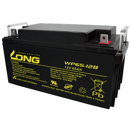 Long WP65-12B 65Ah 12V batería para silla de ruedas | bateriaprofesional.es