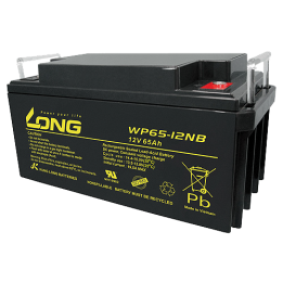Long WP65-12NB 65Ah 12V batería para silla de ruedas | bateriaprofesional.es