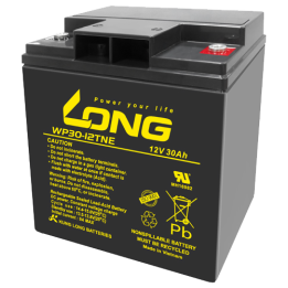 Long WP30-12TNE 30Ah 12V batería para silla de ruedas | bateriaprofesional.es